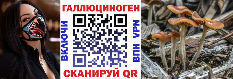 Псилоцибиновые грибы Cubensis  наркошоп  Шелехов 