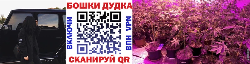 что такое наркотик  Шелехов  Марихуана сатива 